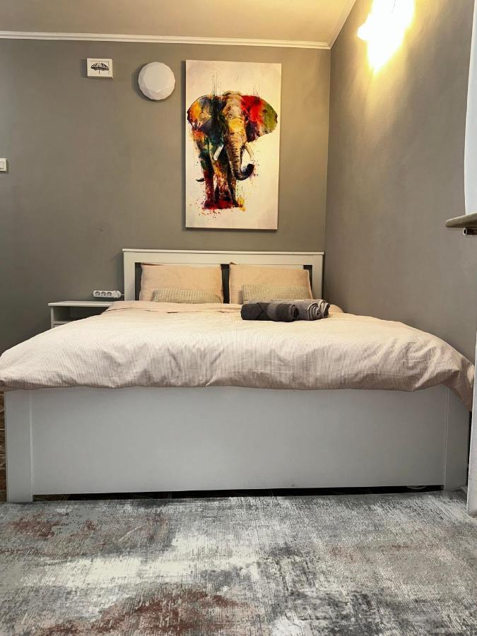 One Room Apartment Decebal Bucarest Exterior foto