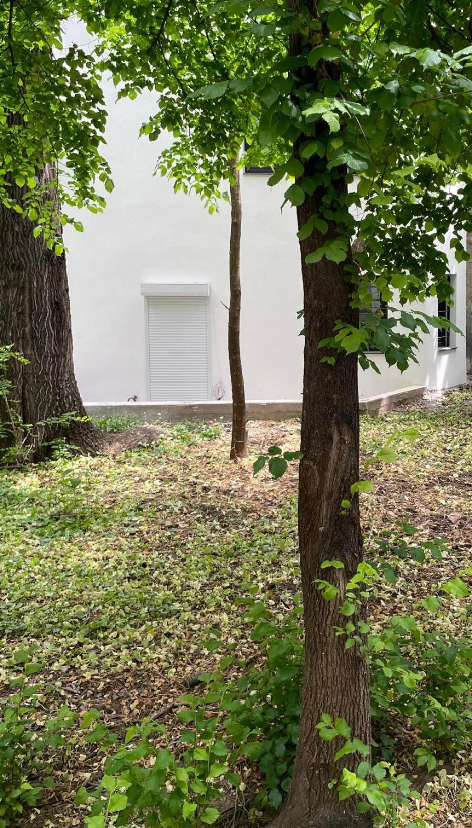 One Room Apartment Decebal Bucarest Exterior foto